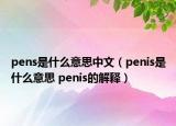 pens是什么意思中文（penis是什么意思 penis的解释）