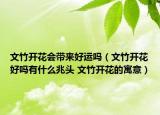 文竹开花会带来好运吗（文竹开花好吗有什么兆头 文竹开花的寓意）