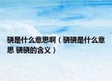 骁是什么意思啊（骁骁是什么意思 骁骁的含义）