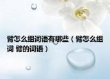 臂怎么组词语有哪些（臂怎么组词 臂的词语）