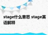 stage什么意思 stage英语解释