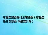 冰晶盒里面是什么东西呢（冰晶盒是什么东西 冰晶盒介绍）
