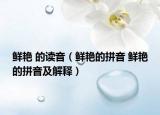 鲜艳 的读音（鲜艳的拼音 鲜艳的拼音及解释）
