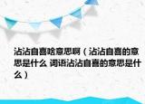 沾沾自喜啥意思啊（沾沾自喜的意思是什么 词语沾沾自喜的意思是什么）