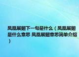 凤凰展翅下一句是什么（凤凰展翅是什么意思 凤凰展翅意思简单介绍）