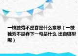 一枝独秀不是春是什么意思（一枝独秀不是春下一句是什么 出自哪里呢）