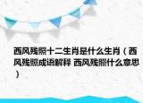 西风残照十二生肖是什么生肖（西风残照成语解释 西风残照什么意思）