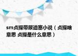 sm贞操带尿道塞小说（贞操啥意思 贞操是什么意思）
