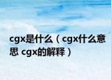 cgx是什么（cgx什么意思 cgx的解释）