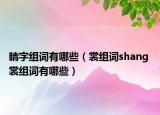 睛字组词有哪些（裳组词shang 裳组词有哪些）