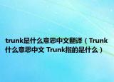 trunk是什么意思中文翻译（Trunk什么意思中文 Trunk指的是什么）