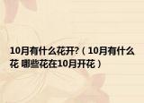 10月有什么花开?（10月有什么花 哪些花在10月开花）
