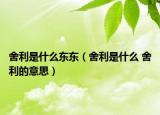 舍利是什么东东（舍利是什么 舍利的意思）