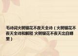毛诗词火树银花不夜天全诗（火树银花不夜天全诗和解释 火树银花不夜天出自哪里）