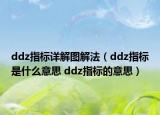ddz指标详解图解法（ddz指标是什么意思 ddz指标的意思）