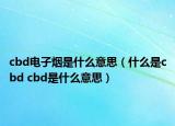 cbd电子烟是什么意思（什么是cbd cbd是什么意思）