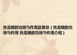 丝瓜根的功效与作用及禁忌（丝瓜根的功效与作用 丝瓜根的功效与作用介绍）