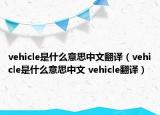 vehicle是什么意思中文翻译（vehicle是什么意思中文 vehicle翻译）