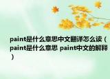 paint是什么意思中文翻译怎么读（paint是什么意思 paint中文的解释）