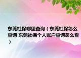 东莞社保哪里查询（东莞社保怎么查询 东莞社保个人账户查询怎么查）