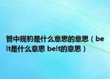 管中规豹是什么意思的意思（belt是什么意思 belt的意思）