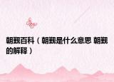 朝觐百科（朝觐是什么意思 朝觐的解释）