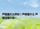 芦根是什么药材（芦根是什么 芦根详细介绍）