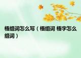 梧组词怎么写（梧组词 梧字怎么组词）