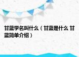 甘蓝学名叫什么（甘蓝是什么 甘蓝简单介绍）