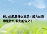 毅力非凡是什么意思（毅力的意思是什么 毅力的含义）