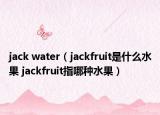 jack water（jackfruit是什么水果 jackfruit指哪种水果）
