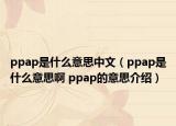 ppap是什么意思中文（ppap是什么意思啊 ppap的意思介绍）