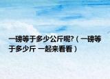 一磅等于多少公斤呢?（一磅等于多少斤 一起来看看）