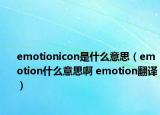emotionicon是什么意思（emotion什么意思啊 emotion翻译）