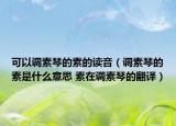 可以调素琴的素的读音（调素琴的素是什么意思 素在调素琴的翻译）