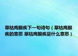草枯鹰眼疾下一句诗句（草枯鹰眼疾的意思 草枯鹰眼疾是什么意思）