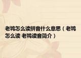 老鸨怎么读拼音什么意思（老鸨怎么读 老鸨读音简介）