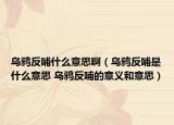 乌鸦反哺什么意思啊（乌鸦反哺是什么意思 乌鸦反哺的意义和意思）