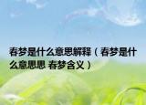 春梦是什么意思解释（春梦是什么意思思 春梦含义）