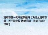清明节前一天不能祭祖吗（为什么清明节前一天不能上坟 清明节前一天能不能上坟呢）