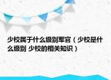 少校属于什么级别军官（少校是什么级别 少校的相关知识）