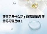蓝雪花是什么花（蓝雪花花语 蓝雪花花语是啥）