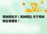 姐妹网名字（姐妹网名 关于姐妹网名有哪些）