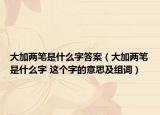 大加两笔是什么字答案（大加两笔是什么字 这个字的意思及组词）