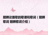 翅膀这首歌的歌谱和歌词（翅膀歌词 翅膀歌词介绍）