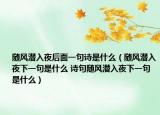 随风潜入夜后面一句诗是什么（随风潜入夜下一句是什么 诗句随风潜入夜下一句是什么）