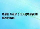 电损什么意思（什么是电损费 电损费的解释）