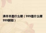 沸羊羊是什么梗（999是什么梗 999解释）