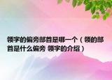 领字的偏旁部首是哪一个（领的部首是什么偏旁 领字的介绍）