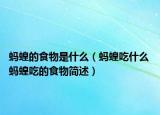 蚂蝗的食物是什么（蚂蝗吃什么 蚂蝗吃的食物简述）